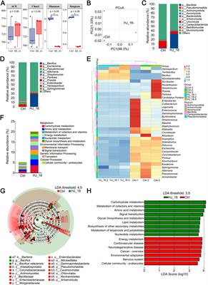 Analysis of the effects of Bacillus velezensis HJ-16 inoculation on tobacco leaves based on multi-omics methods